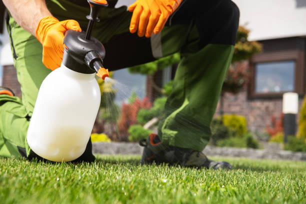 Best Seasonal Pest Control  in Clarkton, MO